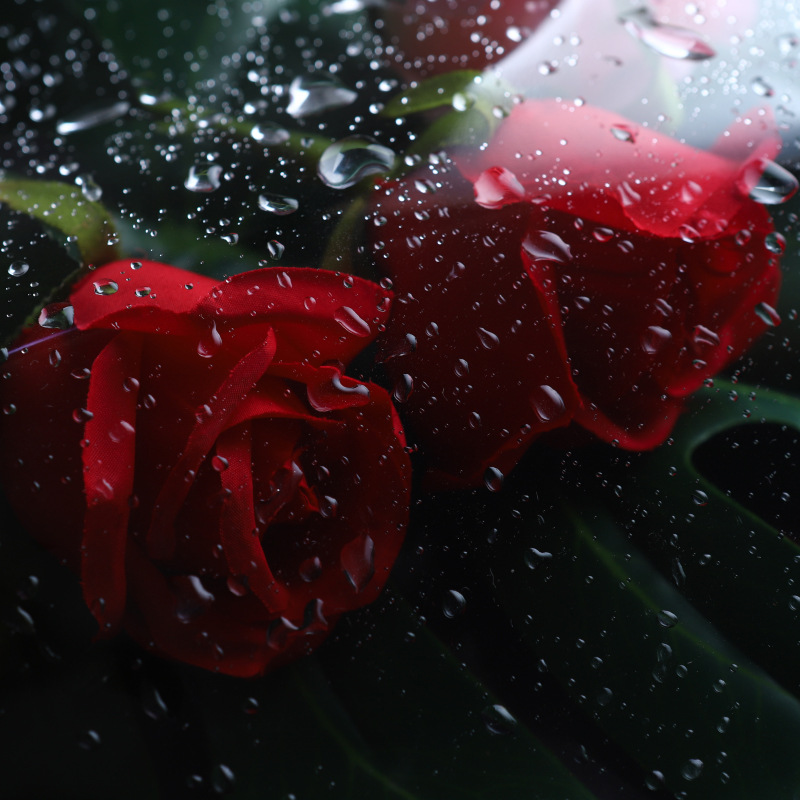 1/2pcs Clear Cellophane PVC Fi - Cellophane Wrap Clear 评论和价格