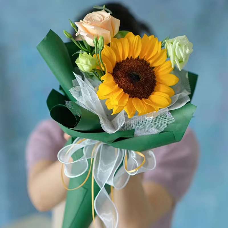 10Yards/Roll Sheer Chiffon Rib - Ribbon Organza Roll 评论和价格