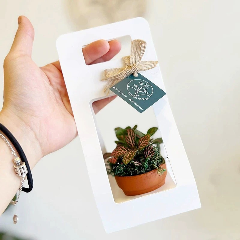 10Set Succulent Wrap Gift Bags - Flower Wrap Kraft 评论和价格