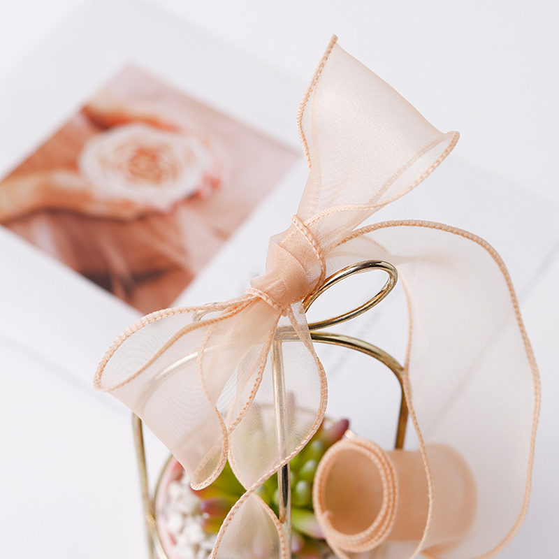 9Meters/Roll Sheer Silk Ribbon - Ribbon Organza Roll 评论和价格